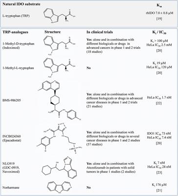 Limitations and Off-Target Effects of Tryptophan-Related IDO Inhibitors in Cancer Treatment